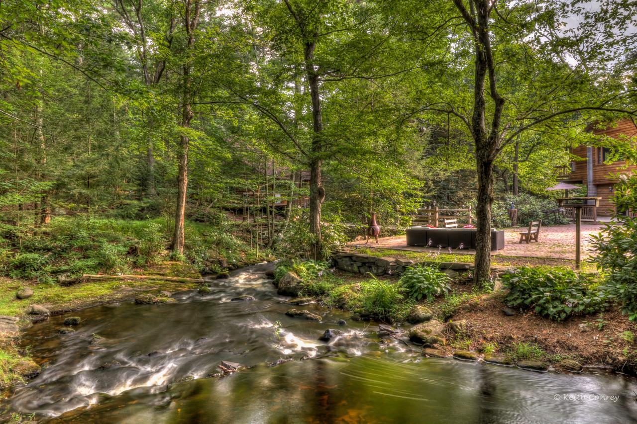 Magnolia Streamside * Canadensis